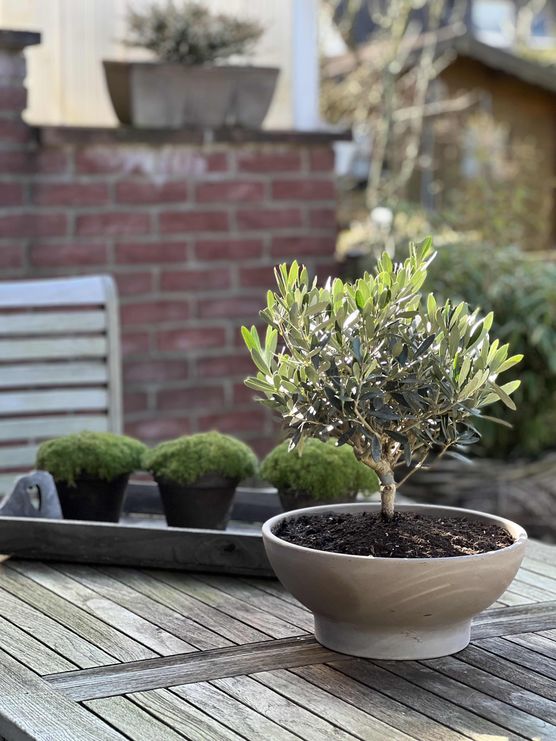 Bild von Casa Homeinspiration Bild von Casa Homeinspiration