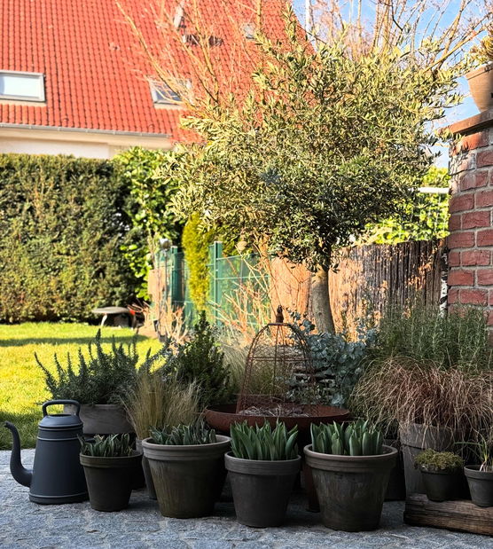 Bild von Casa Homeinspiration Bild von Casa Homeinspiration