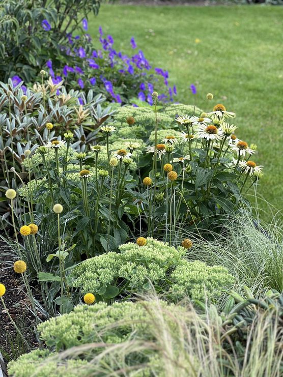 Bild von AURORA.nordic.living Bild von AURORA.nordic.living