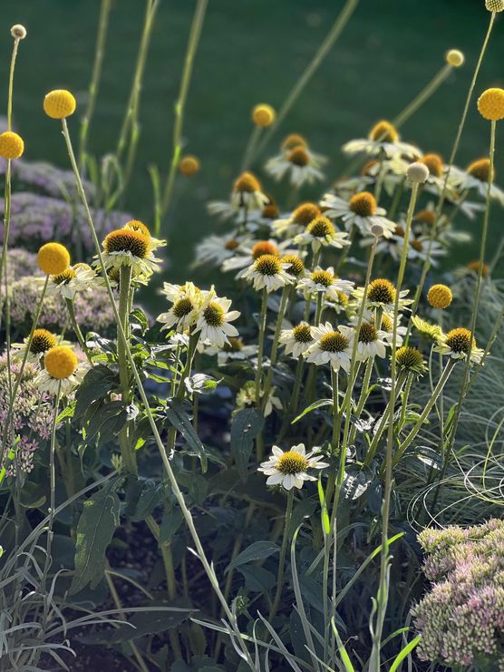 Bild von AURORA.nordic.living Bild von AURORA.nordic.living