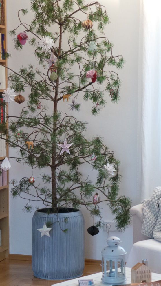 Adventsbaum Adventsbaum