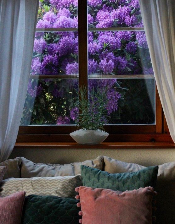 Bild von Adelheids-Ideenreich Bild von Adelheids-Ideenreich