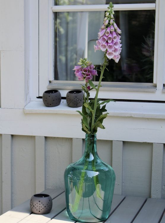 Bild von Adelheids-Ideenreich Bild von Adelheids-Ideenreich