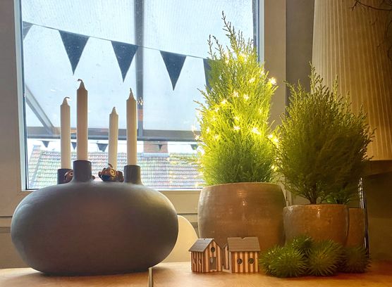 Frisches Grün gegen tristes Frisches Grün gegen tristes