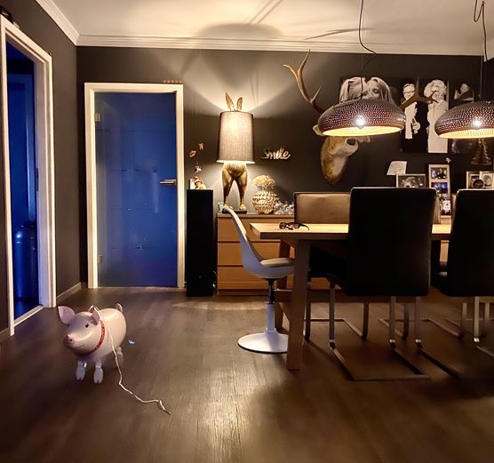 Abendstimmung mit neuer Hasenlampe Abendstimmung mit neuer Hasenlampe