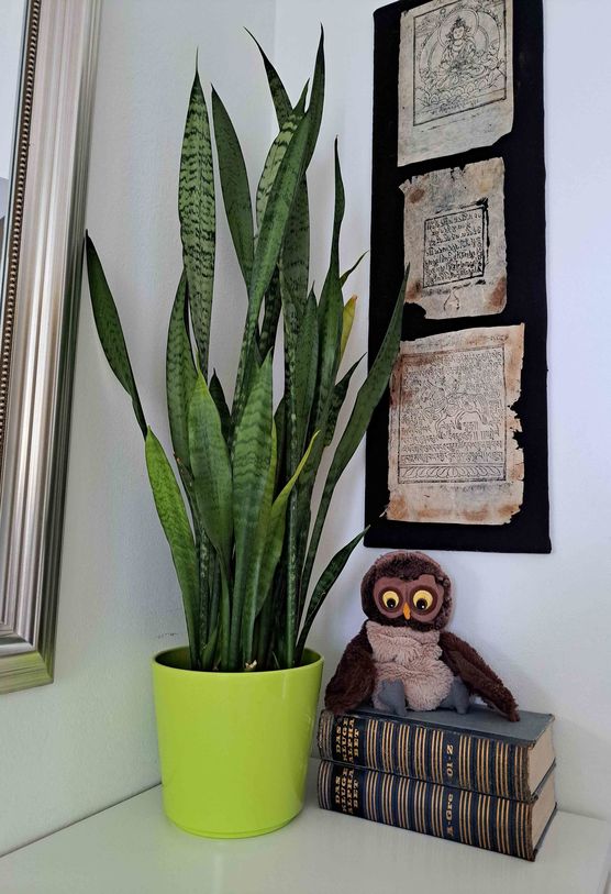 Bild von evitsch Bild von evitsch