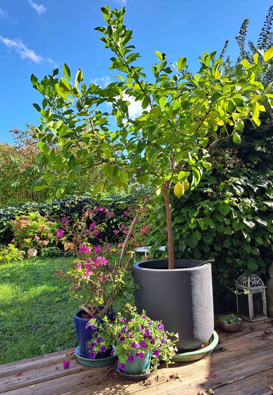 Bild von evitsch Bild von evitsch