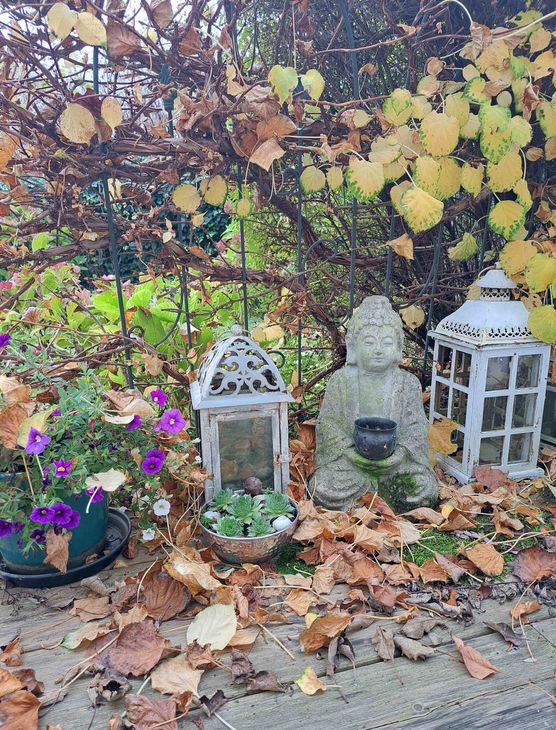 Bild von evitsch Bild von evitsch