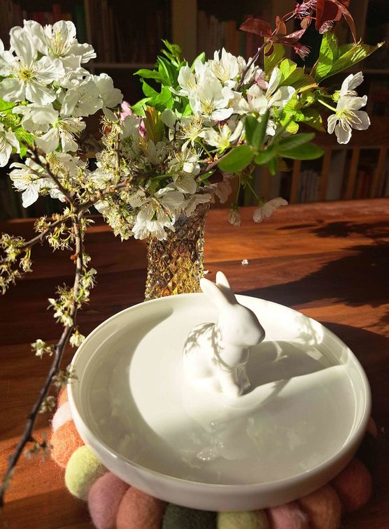 Bild von evitsch Bild von evitsch