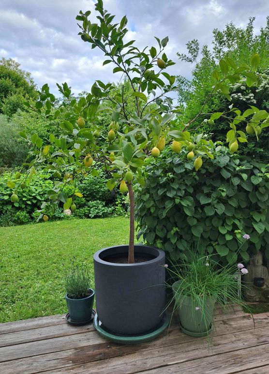 Bild von evitsch Bild von evitsch