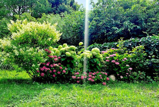 Bild von evitsch Bild von evitsch