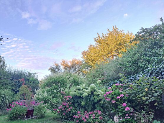 Bild von evitsch Bild von evitsch