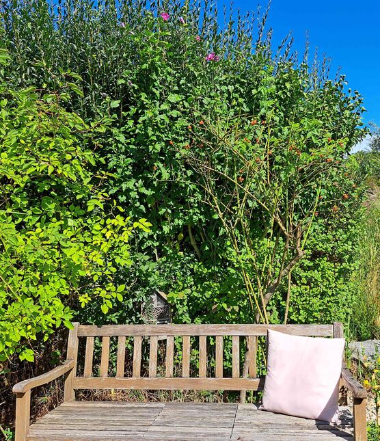 Bild von evitsch Bild von evitsch