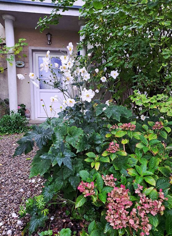 Bild von evitsch Bild von evitsch