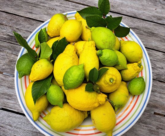 Bild von evitsch Bild von evitsch