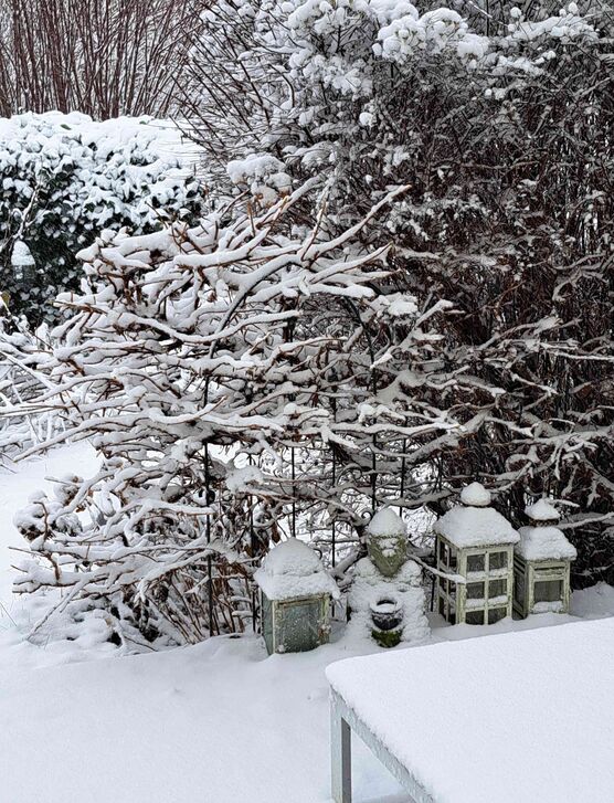 Bild von evitsch Bild von evitsch