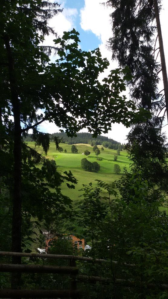 durchs Blätterherz geschaut durchs Blätterherz geschaut