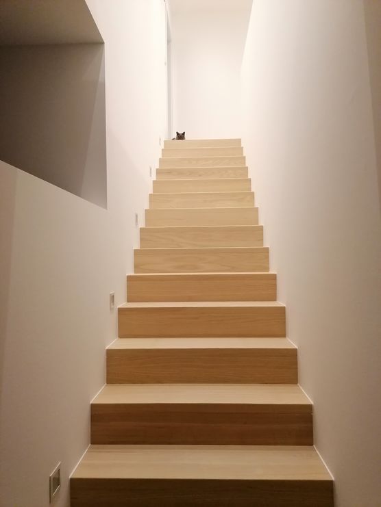 Bild von Eleanor_the_catlady Bild von Eleanor_the_catlady