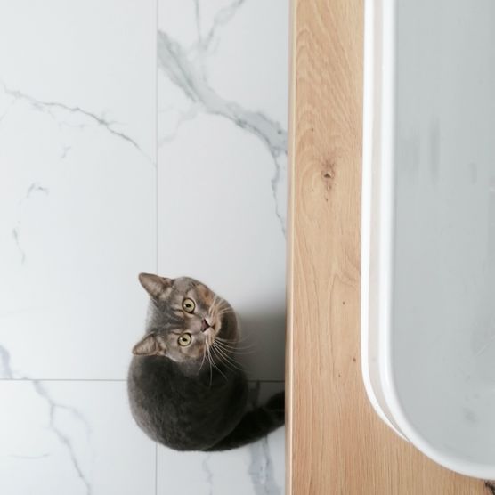 Merlin mag das neue Merlin mag das neue