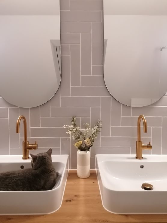 Bild von Eleanor_the_catlady Bild von Eleanor_the_catlady