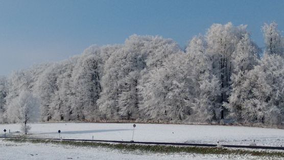 Kinderzimmerausblick I Kinderzimmerausblick I