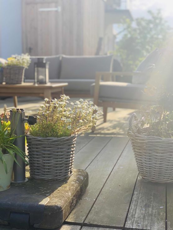 Bild von huckleberryfriend Bild von huckleberryfriend