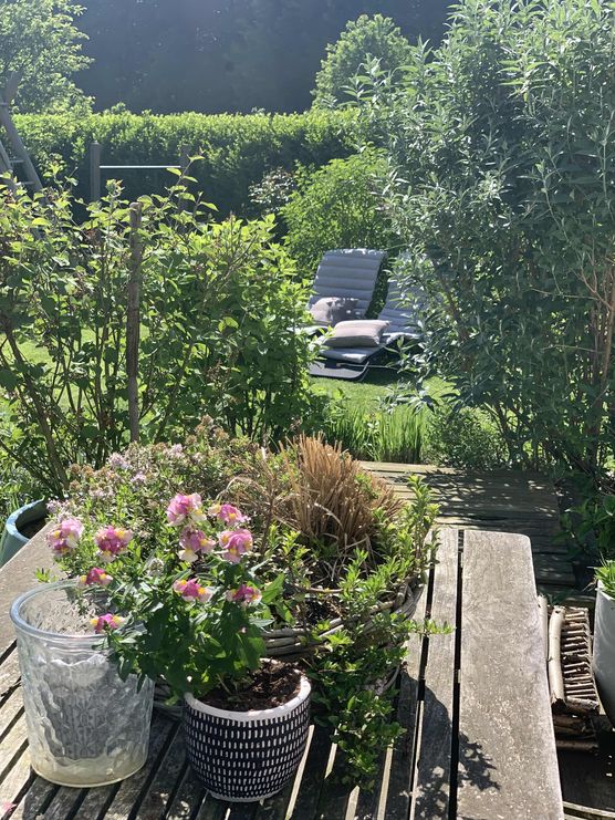 Bild von huckleberryfriend Bild von huckleberryfriend