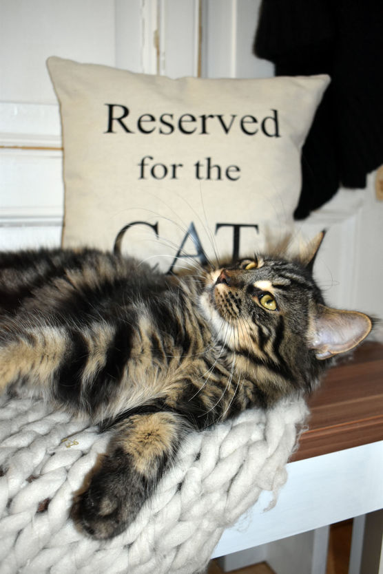 Wie ihr seht liebt Wie ihr seht liebt