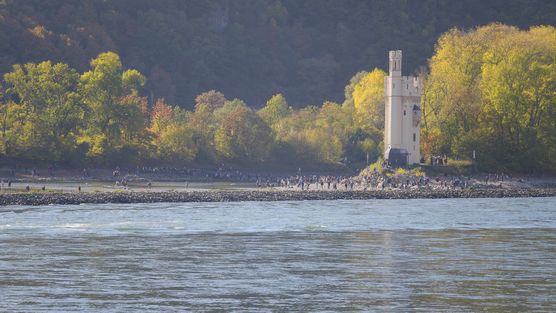 Niedrigwasser am Rhein macht Niedrigwasser am Rhein macht