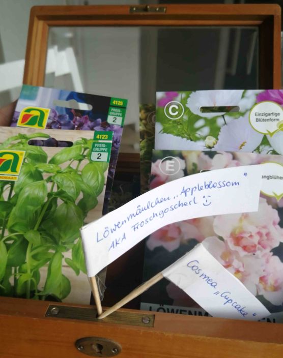 Bild von Vorstadtweibchen Bild von Vorstadtweibchen