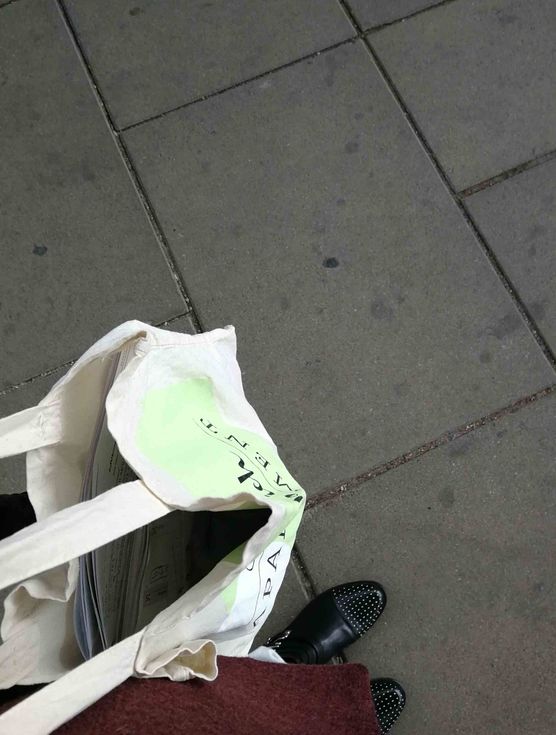 Bild von Vorstadtweibchen Bild von Vorstadtweibchen