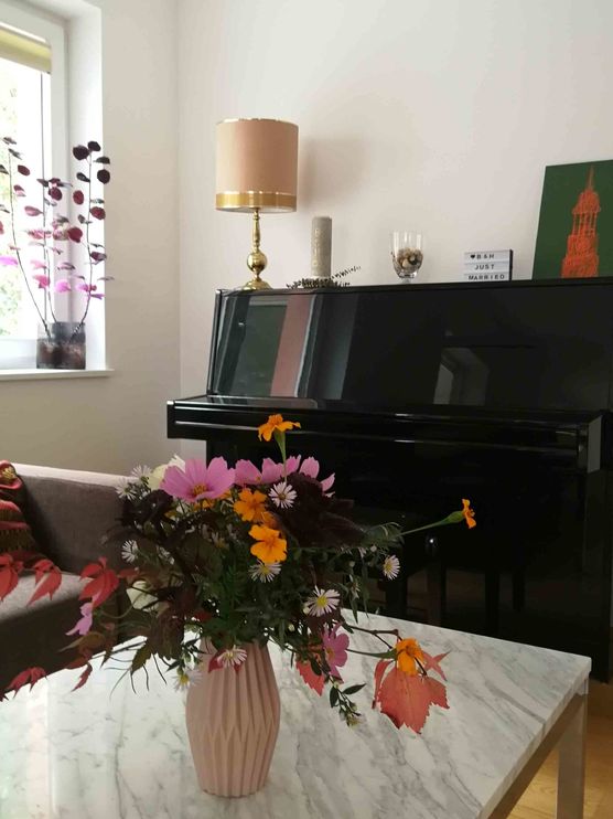 Bild von Vorstadtweibchen Bild von Vorstadtweibchen