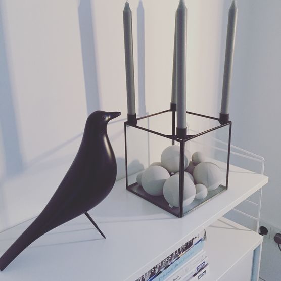 Der Advent kann kommen ! Der Advent kann kommen !