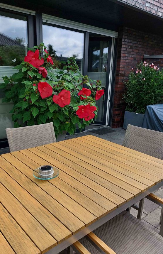 Bild von Robbysweety Bild von Robbysweety