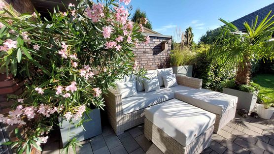 Bild von Robbysweety Bild von Robbysweety