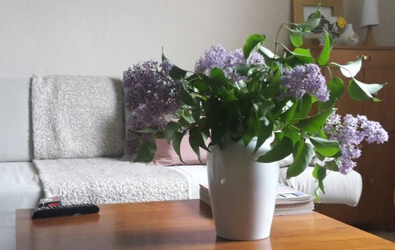 So'n Blumenbild halt So'n Blumenbild halt