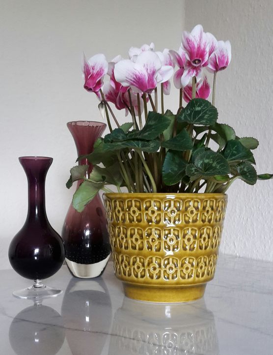 Weltschönster Blumenpott Weltschönster Blumenpott