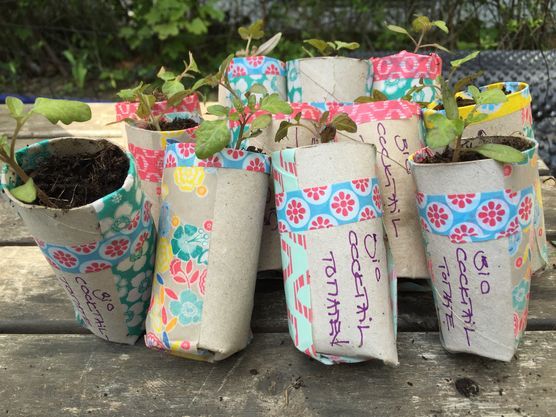 Gartenzeit Gartenzeit