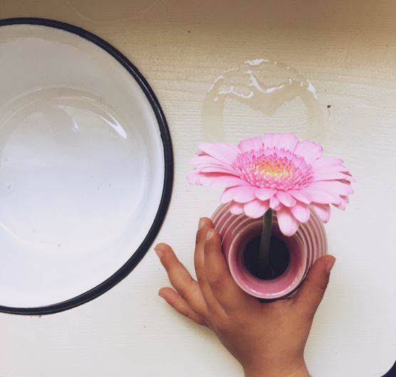 Eine Blume vom Markt Eine Blume vom Markt