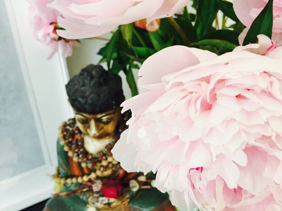 Seelenlebenstreichel Seelenlebenstreichel