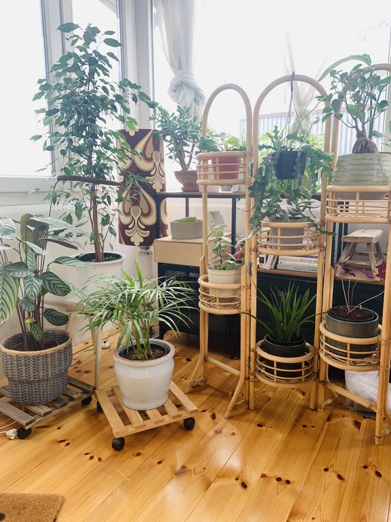 Bild von SteffTier Bild von SteffTier