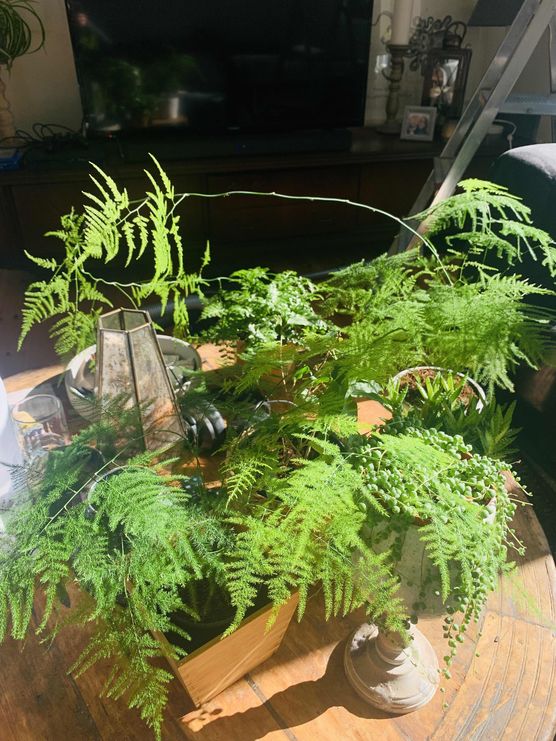 Bild von SteffTier Bild von SteffTier