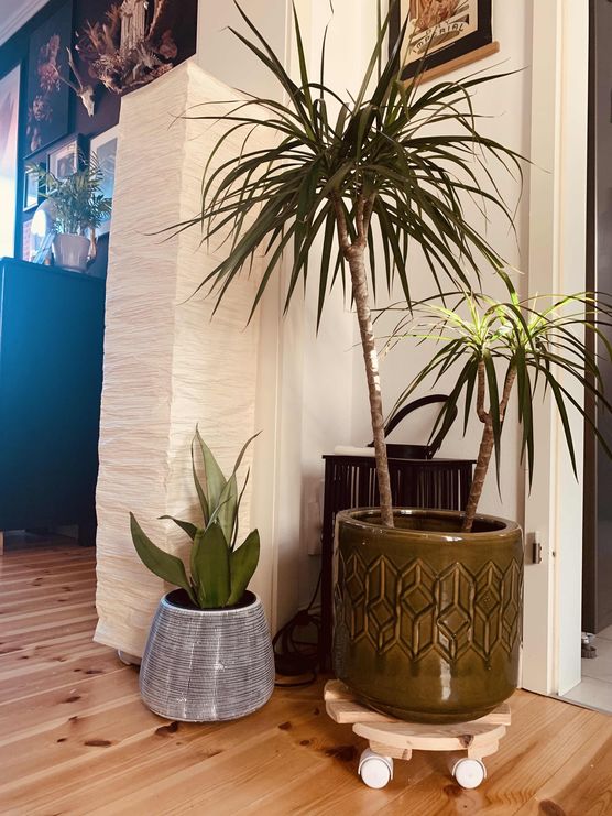 Bild von SteffTier Bild von SteffTier