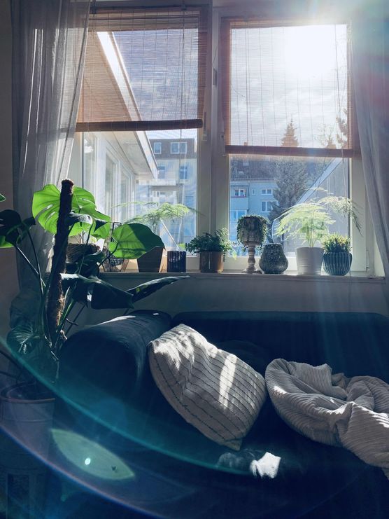 Bild von SteffTier Bild von SteffTier