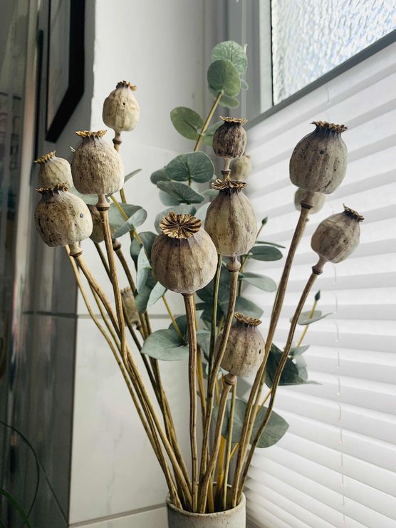 Bild von SteffTier Bild von SteffTier