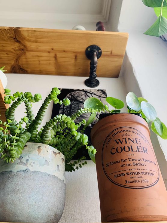 Bild von SteffTier Bild von SteffTier