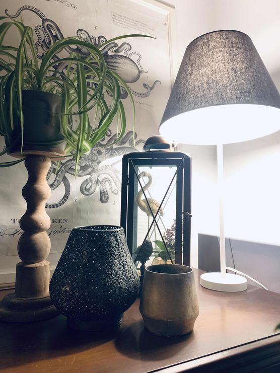 Bild von SteffTier Bild von SteffTier