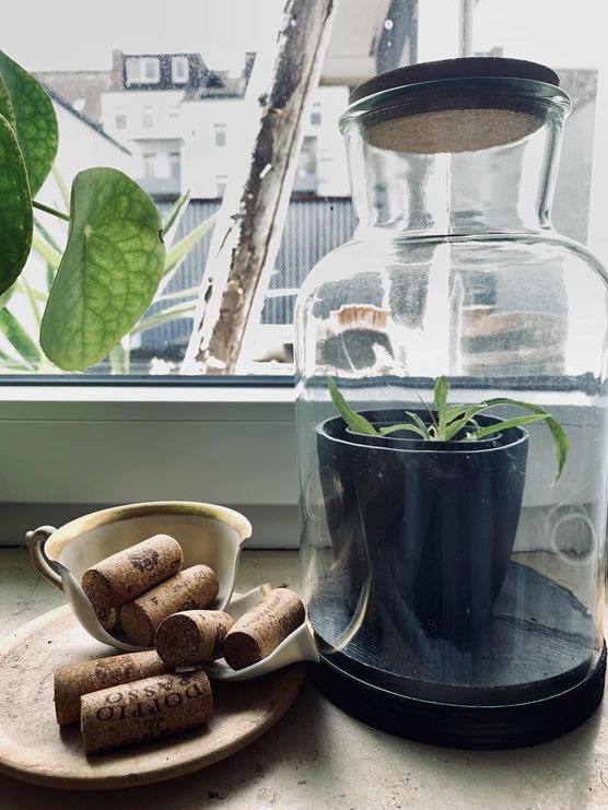 Bild von SteffTier Bild von SteffTier