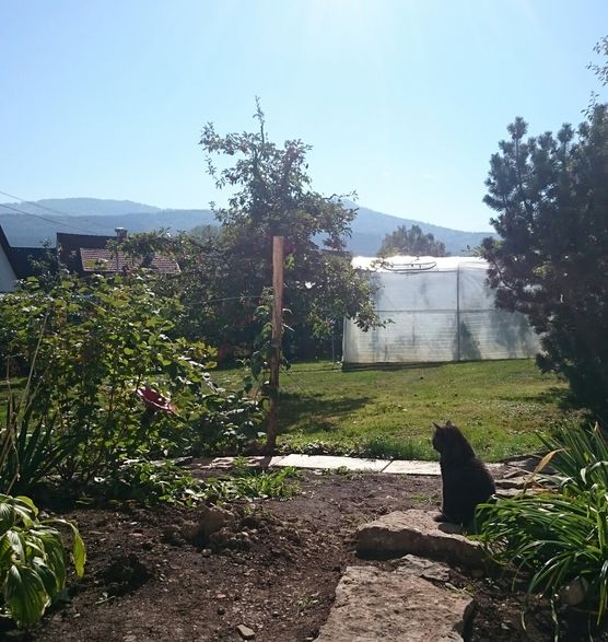 Unsere Fellnase genießt die letzten Sonnenstrahlen Unsere Fellnase genießt die letzten Sonnenstrahlen