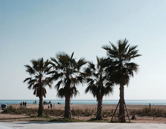 Endlich Frühling Endlich Frühling